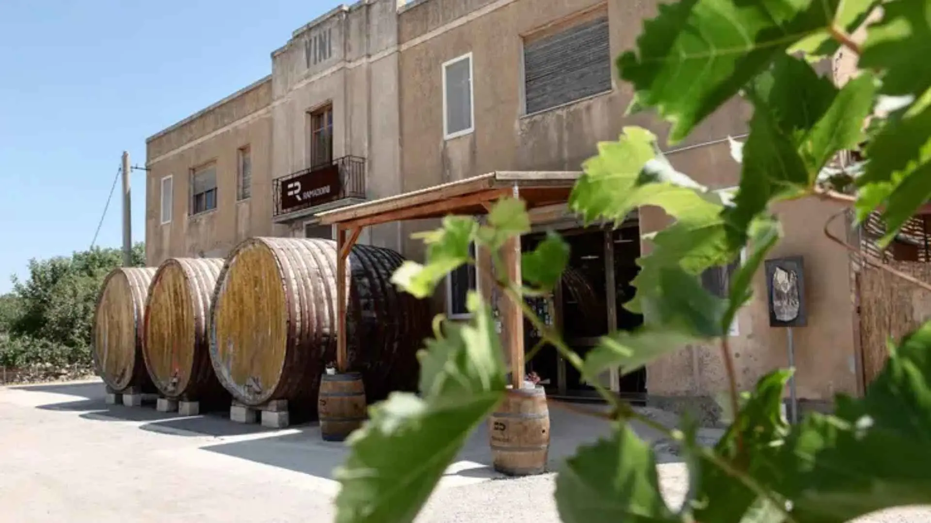 Ramaddini winery