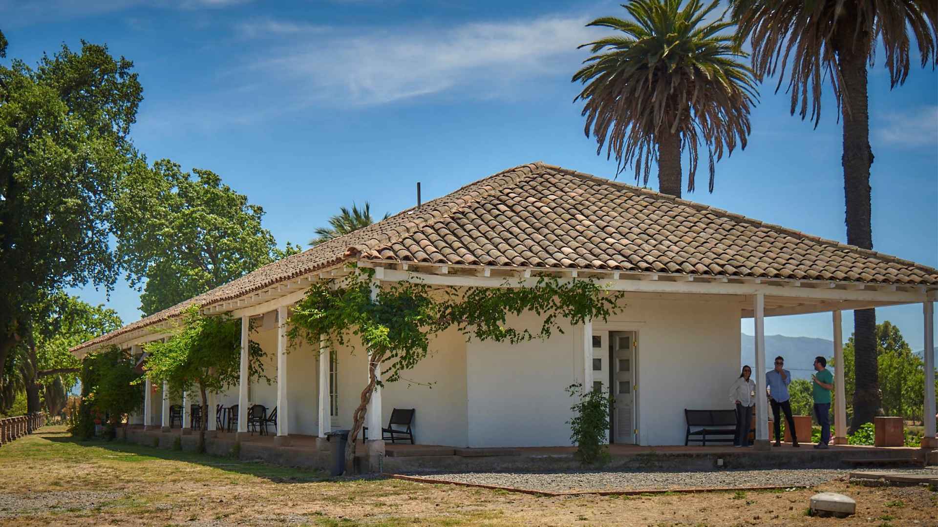 Maquis  winery