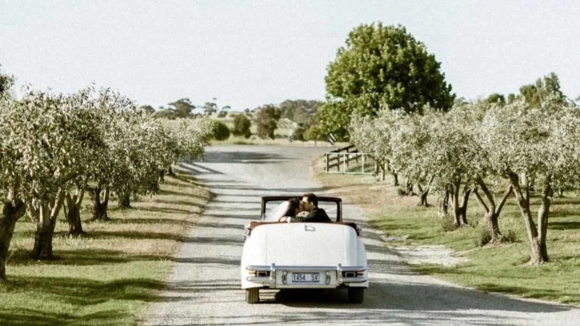 Wine & Dine in a Classic Jaguar Mark V - Adelaide Hills