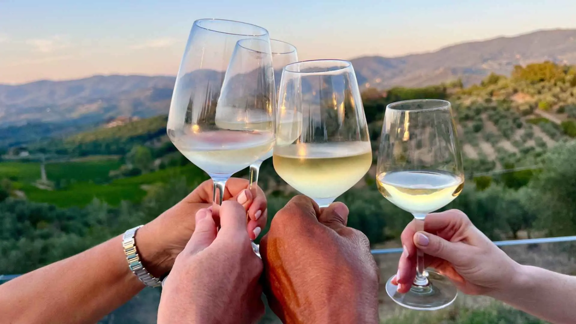 Sparkling & White Wine Private Tour in Adelaide Hills