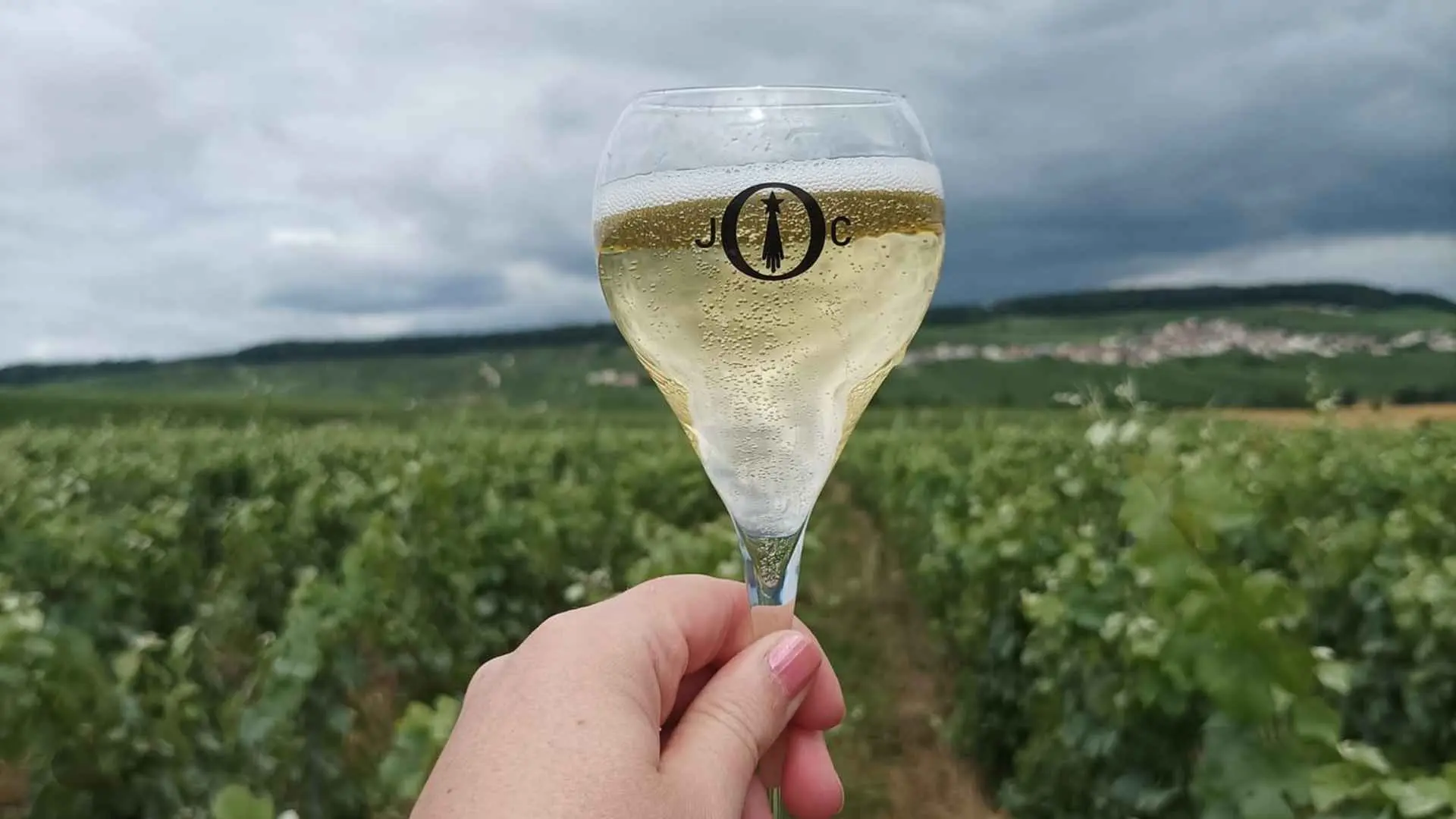 Domaine Julien Chopin - Aromas Workshop