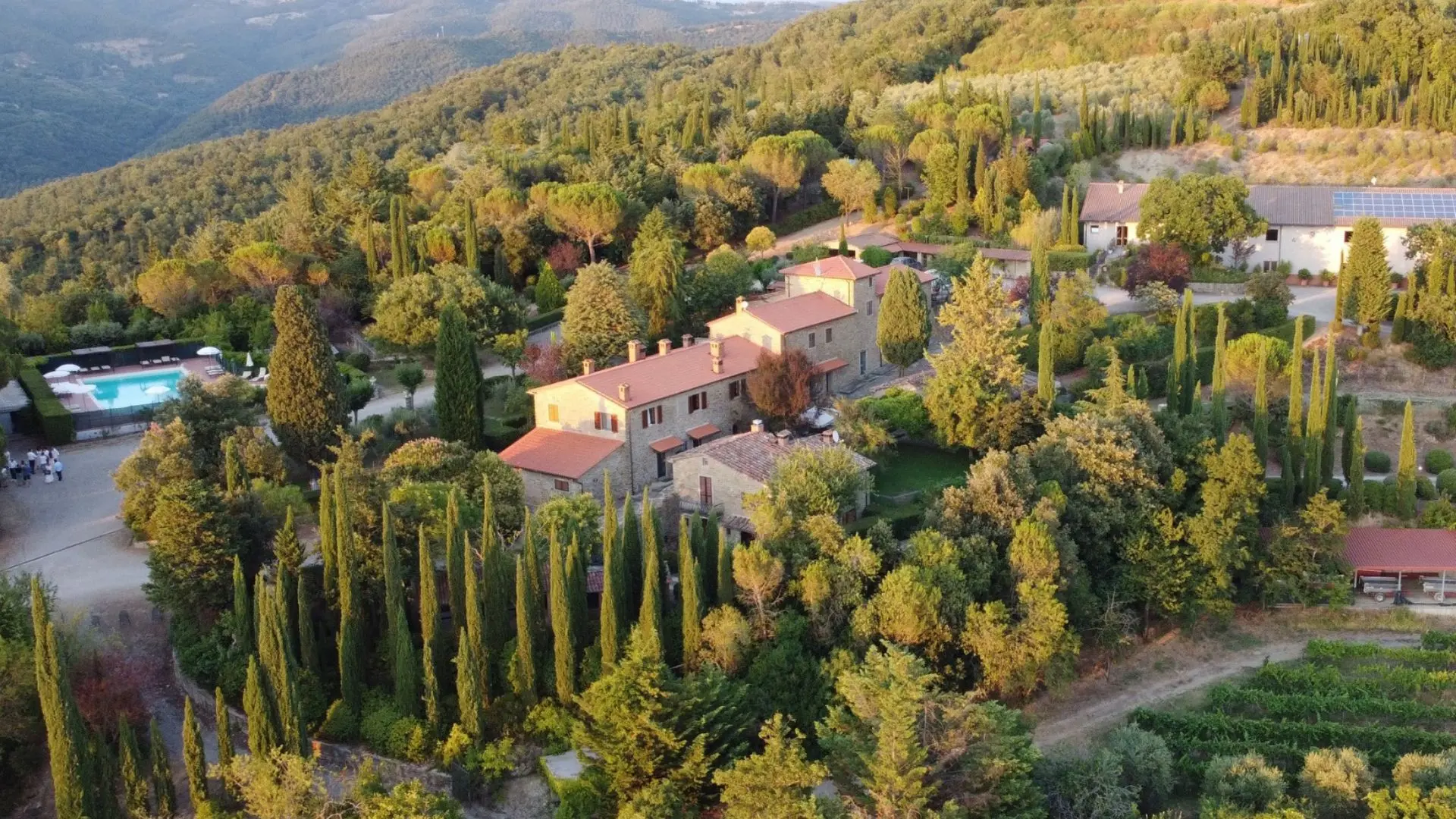 The image shows the Buccia Nera winery, flanked by trees from all sides. Taken from above, the image also shows a swimming pool, an entire forest, and hills in the background. 