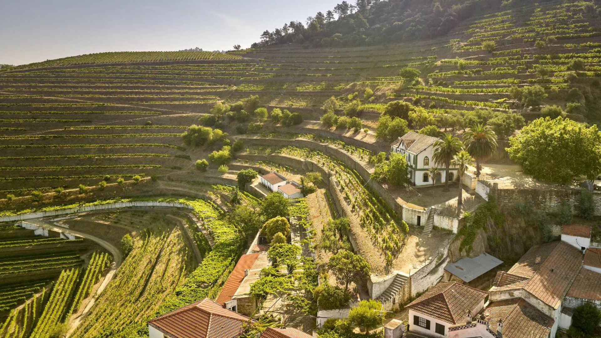 douro douro
