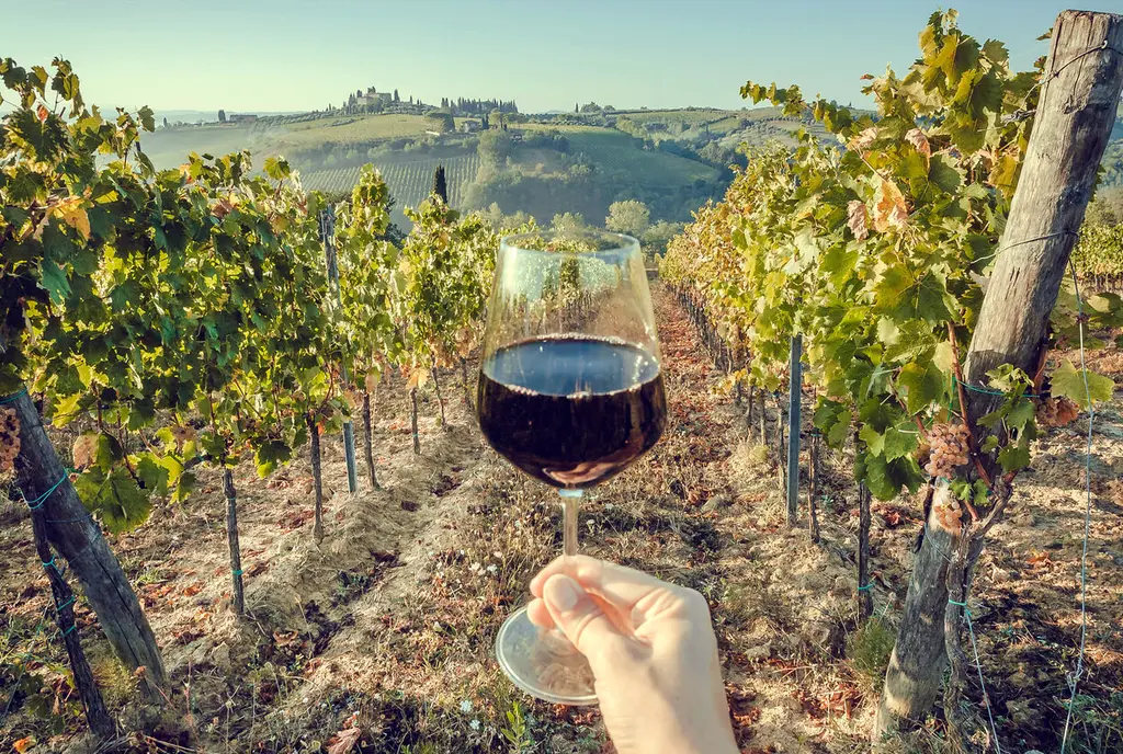 From Porto - Douro Wine & Sparkling Tour From Porto - Douro Wine & Sparkling Tour
