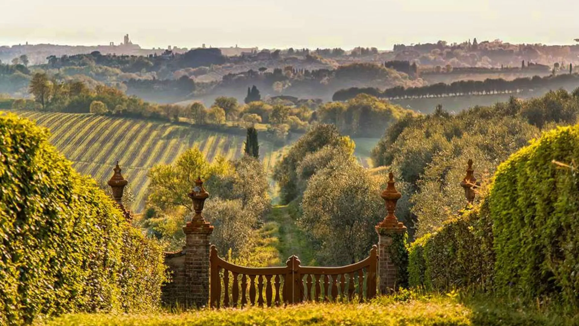 Montechiaro - Wine Experience in an Organic Chianti Winery Montechiaro - Wine Experience in an Organic Chianti Winery