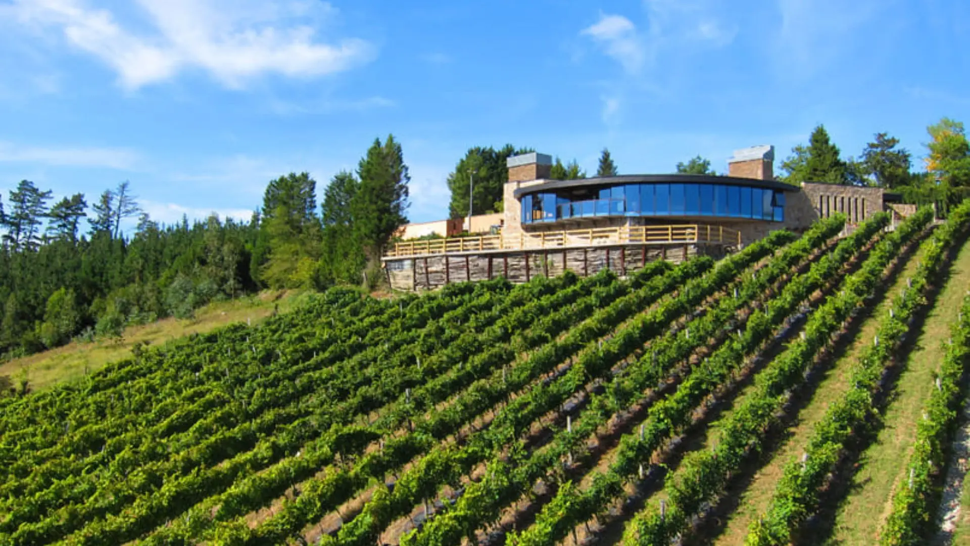 Bodega Berroja – Basque Country, Spain Bodega Berroja – Basque Country, Spain