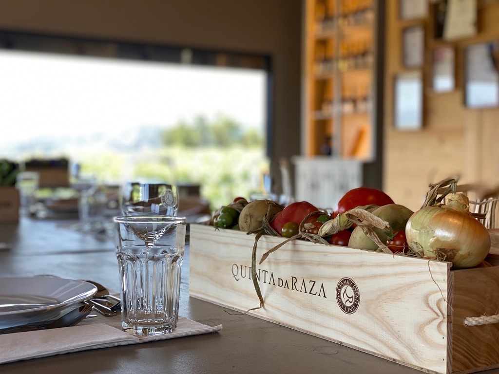 Quinta da Rasa - Discover the wines of the Quinta da Raza produced with the Alvarinho grape variety