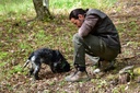 Tili Vini -  Truffle hunting with lunch