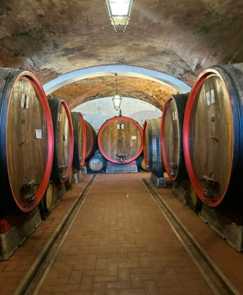 cellar 1.webp