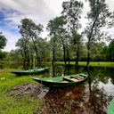 Montenegro wonders - Skadar Lake Wine Tour: A Taste of Nature and Tradition