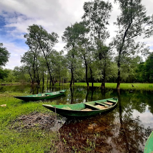 Montenegro, From Podgorica - Skadar Lake Wine Tour: A Taste of Nature and Tradition