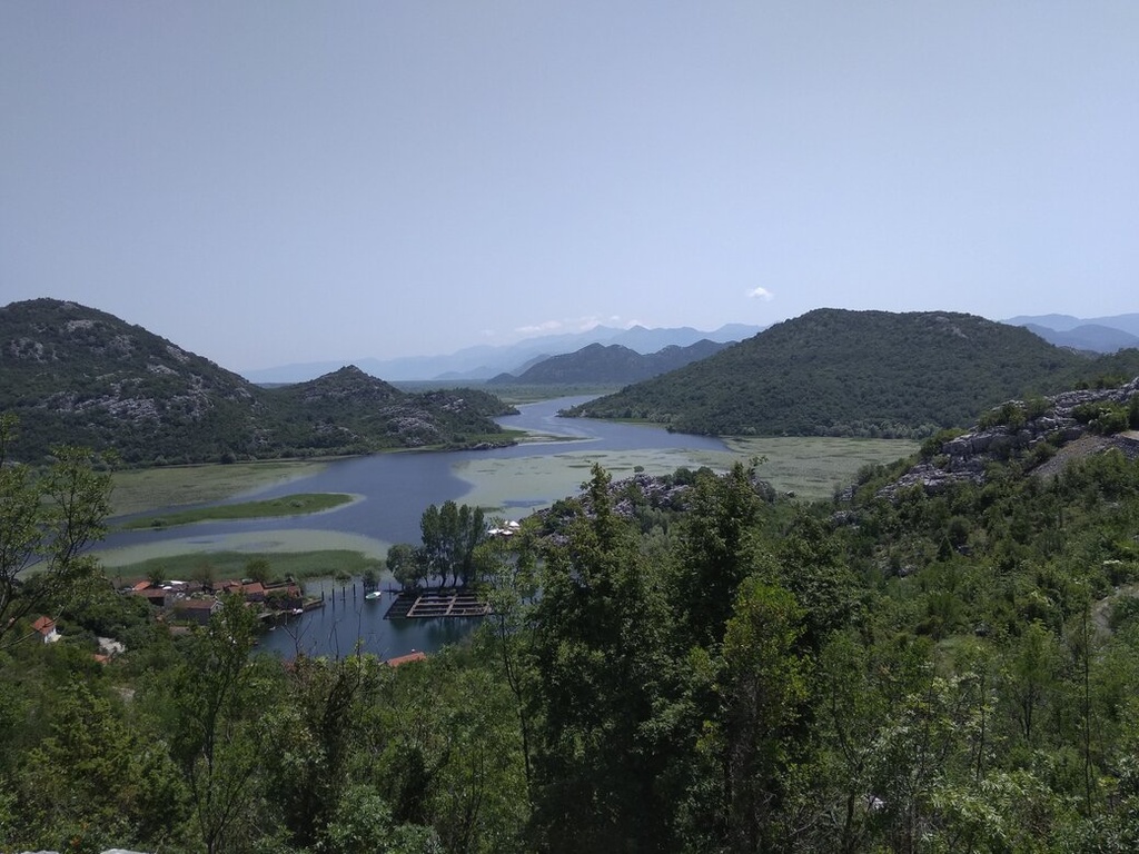 Montenegro wonders - Skadar Lake Wine Tour: A Taste of Nature and Tradition