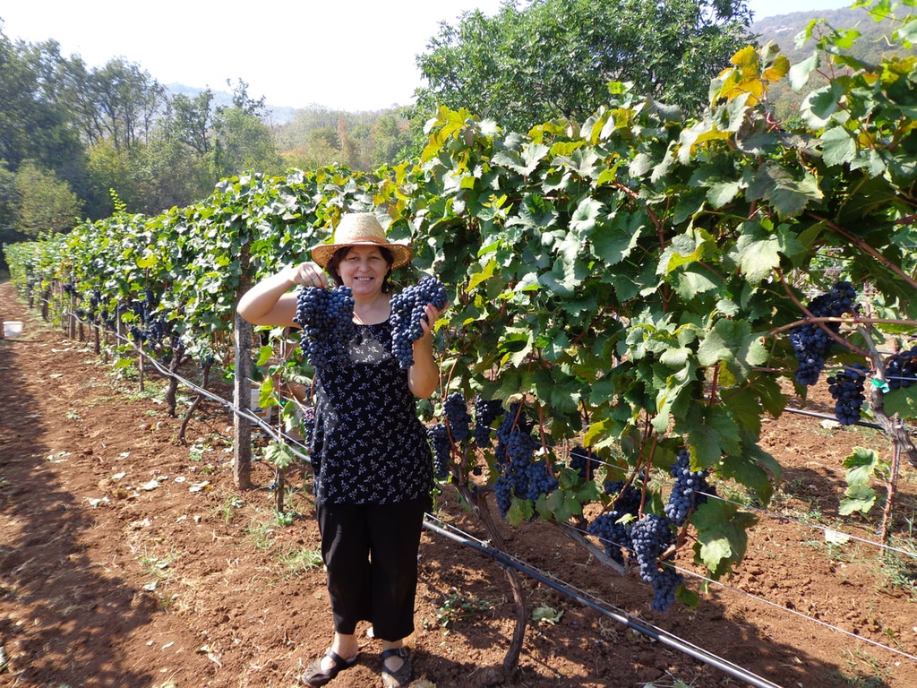 Montenegro wonders - Skadar Lake Wine Tour: A Taste of Nature and Tradition