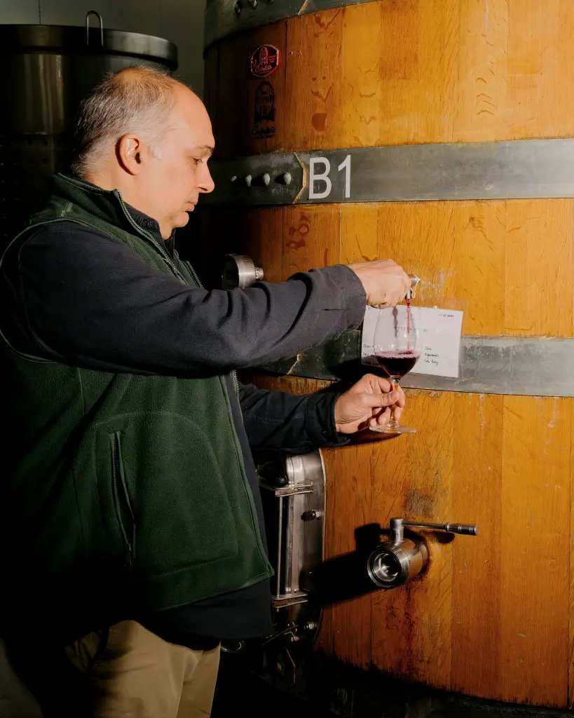 textura-winery-win-tasting-portugal-dao.webp