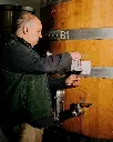 textura-winery-win-tasting-portugal-dao.webp