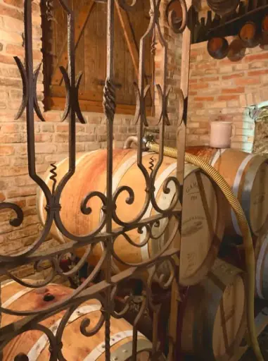 Italy, Piedmont, Castello Di Razzano, Wine tasting " Small " with tour of the Museum