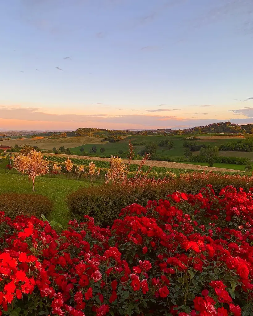 castello-di-razzano-wine-cellar-italy-piedmont castello-di-razzano-winery-experience-piedmont-italy.webp