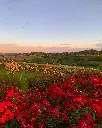 castello-di-razzano-wine-cellar-italy-piedmont castello-di-razzano-winery-experience-piedmont-italy.webp