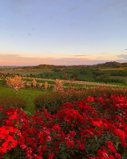 Italy, Piedmont, Castello Di Razzano - Wine Tasting “MEDIUM” with tour of the Museum