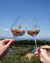 valetti-winery-veneto-relaxing-sightseeing-and-tasting.webp