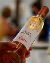 valetti-veneto-outdoor-tasting.webp
