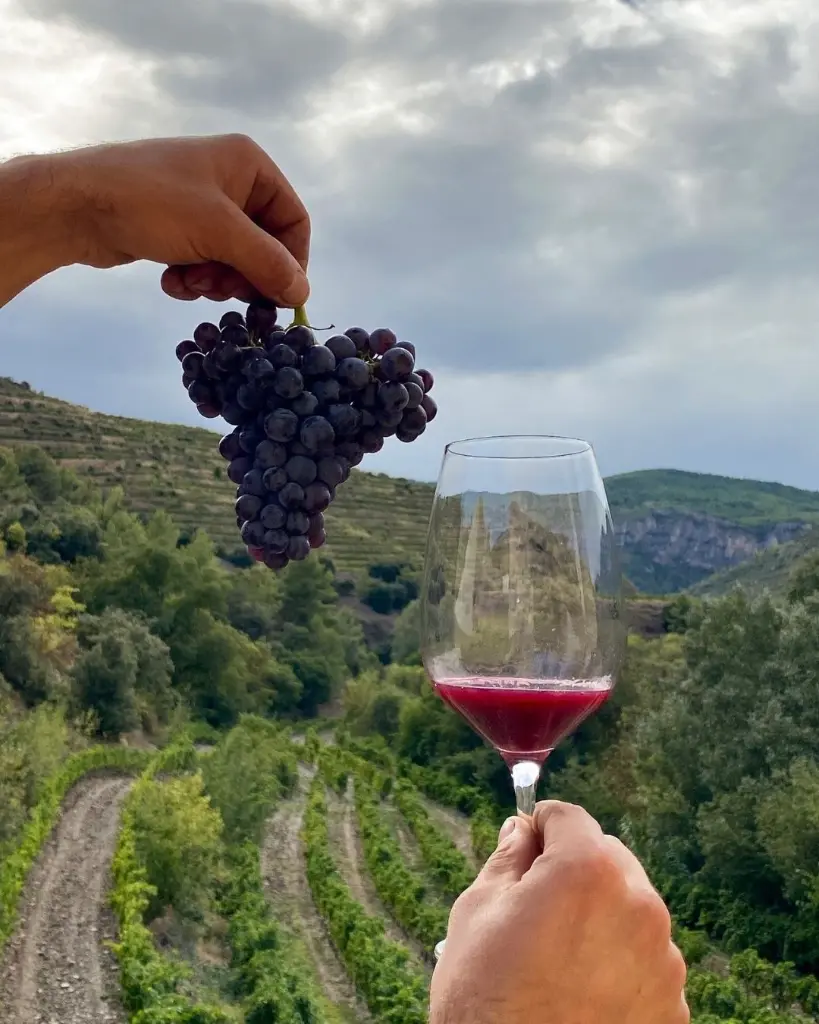 premium-la-conreira-spain-vineyards.webp