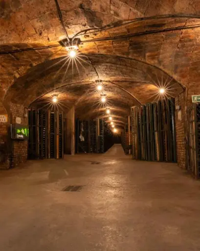 Spain, Catalonia, Cava Rovellats - Premium Visit