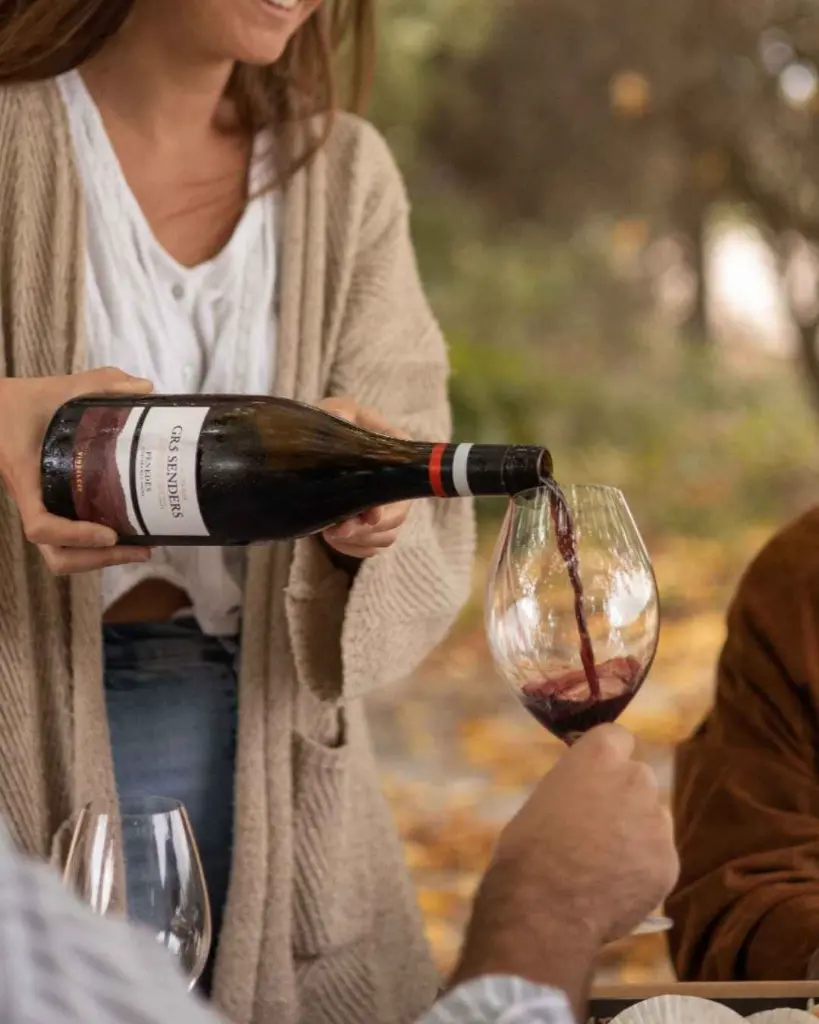 spain-catalonia-vins-el-cep.webp