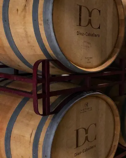 Spain, Rioja, Bodega Diez - Caballero - Step into the Past in Historic Wine Cellar