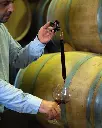bodega-diez-caballero-wine-cellar.webp