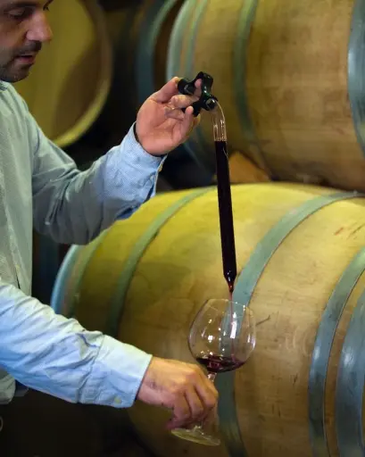 Spain, Rioja, Bodega Diez - Caballero - Step into the Past in Historic Wine Cellar