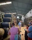 Bodega Manuel Aragon, experience3.webp