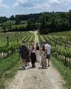 Tenuta il Sosso, experience5.webp