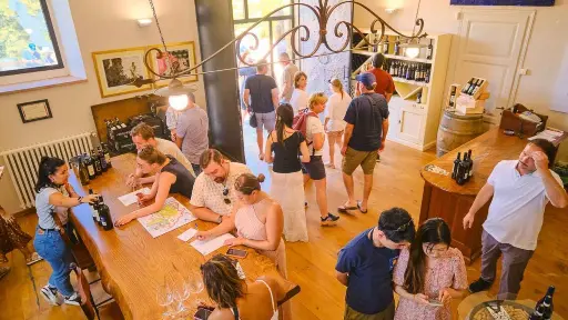 Italy, Tuscany, From Florence - Chianti Vineyards Escape From Florence With Two Wine Tastings