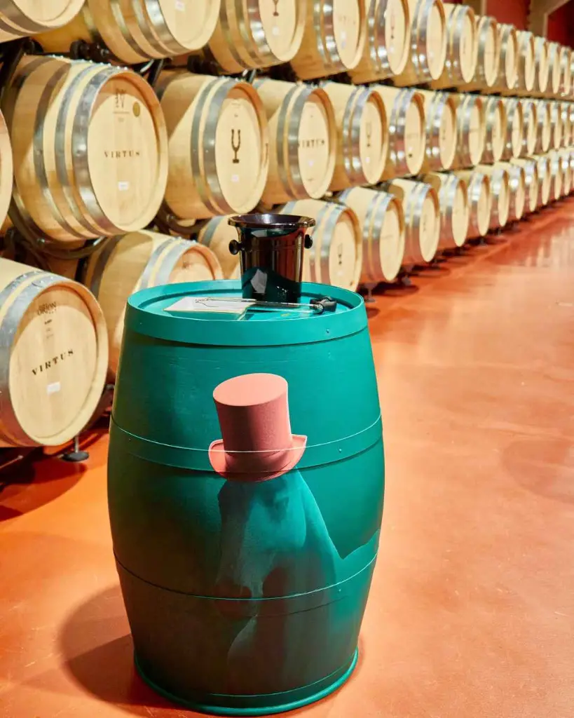 Bodegas Virtus, experience2.webp