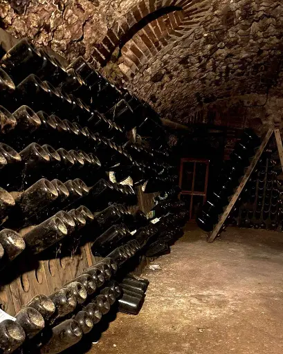 France, Champagne, Domaine Julien Chopin - Aromas workshop