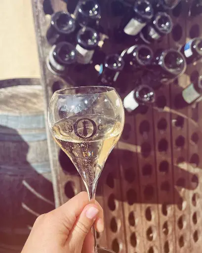 France, Champagne, Domaine Julien Chopin - Aromas workshop