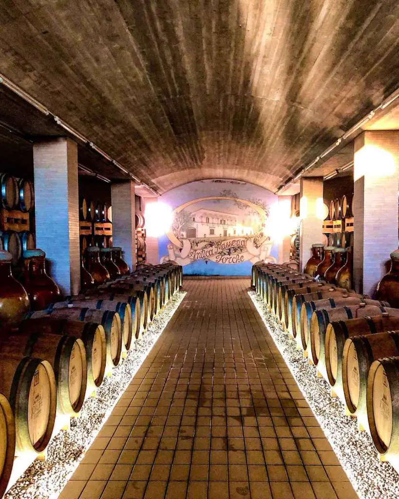antica-masseria-jorche-underground-barrique-cellar.webp