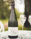 Champagne Cuillier, champagne, France.webp