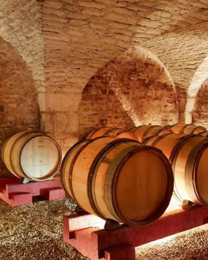 France, Burgundy, Château de Chamirey - Discovery tasting