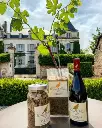 château-de-chamirey-experience.webp