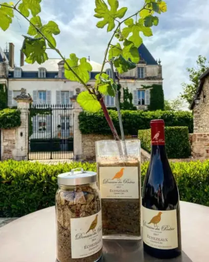 France, Burgundy, Château de Chamirey - Discovery tasting