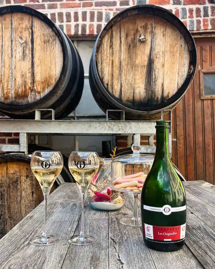 domaine-julien-chopin-wine-tasting.webp