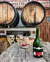 domaine-julien-chopin-wine-tasting.webp