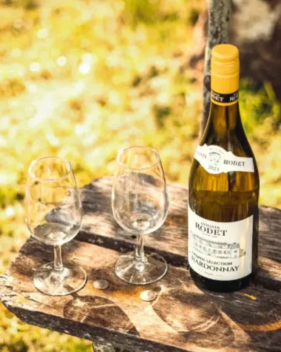 France, Burgundy, Antonin Rodet - Journey "From Vine To Glass"