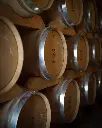 domaine-de-rombeau-aging-cellar.webp