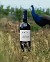 domaine-de-rombeau-wine-tasting.webp