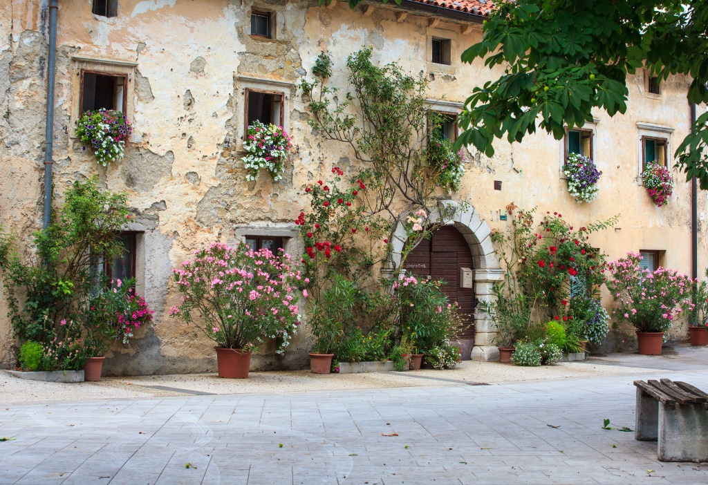 Slovenia explorer - From Ljubljana: Vipava Valley - private wine tasting experience