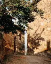 camigliano-historic-wine-estate-tuscany.webp