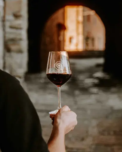 Italy, Tuscany, Camigliano -   Winemaker For A Day